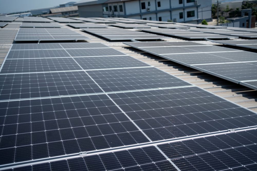 Badiwal Solar Power Plant Pvt Ltd